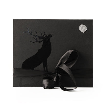 Men’s Collection